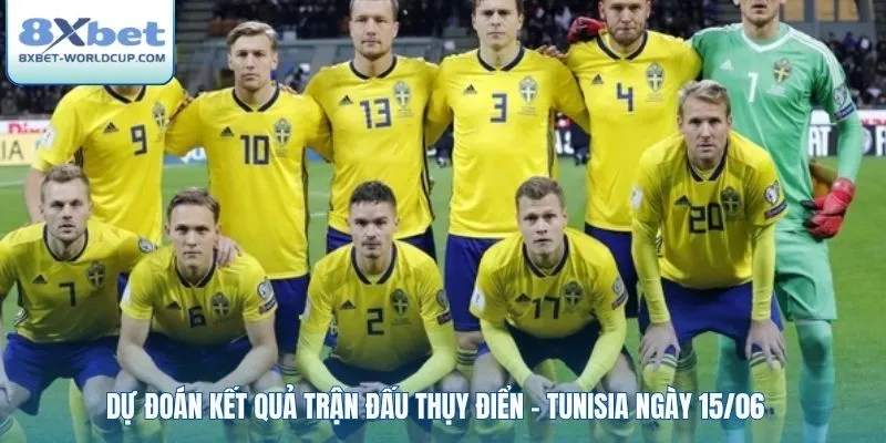 Dự đoán kết quả trận đấu Thụy Điển - Tunisia ngày 15/06