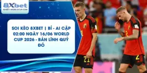 Soi Kèo 8XBET | Bỉ - Ai Cập 02:00 ngày 16/06 World Cup 2026 - Bản Lĩnh Quỷ ĐỏSoi Kèo 8XBET | Bỉ - Ai Cập 02:00 ngày 16/06 World Cup 2026 - Bản Lĩnh Quỷ Đỏ